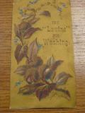 Advertising card. Try Lavine for Washing.