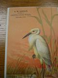 Advertising card.R.D. Hubbard & CO. Superlative flour.