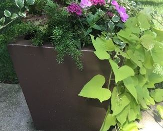 Several of these planters