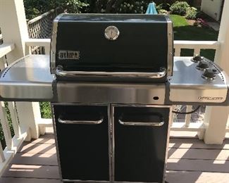 Weber Genesis