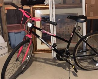 Grand Forks Murray woman's bike