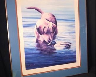 Jl066 Kevin Daniel Bewildered Signed Print