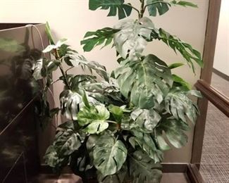 Fake Plant