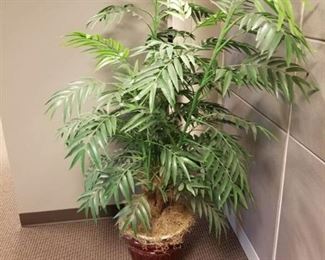 Fake Plant