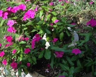 Enjoy the lovely landscaping