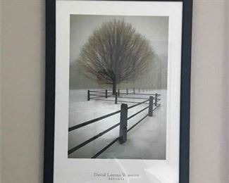 David Lorenz Winston Framed Print Solitude.