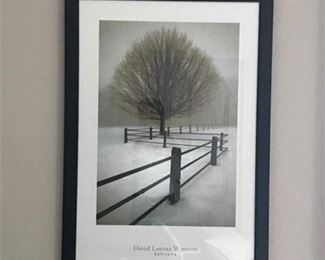 David Lorenz Winston Framed Print Solitude. 