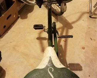 Schwinn Double Seater Bike