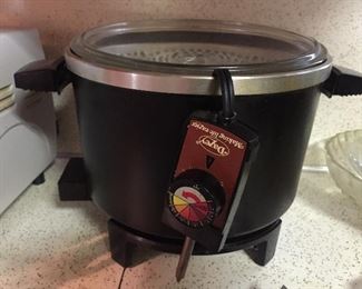 Dazey Chef's Pot Cooker/Fryer/Steamer