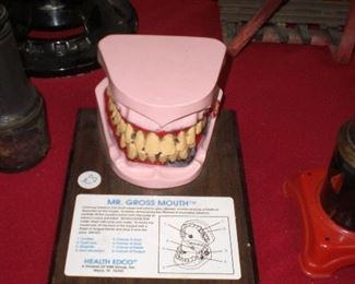 Mr. Gross Mouth dental model