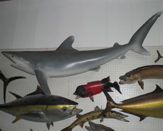 7' shark mount and others