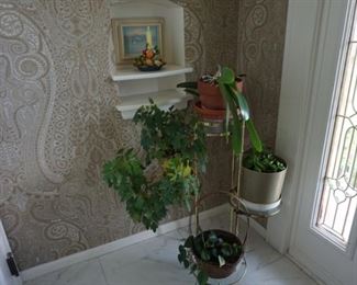 orchards, plants, plant stand