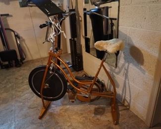 Schwinn exercise bike, rowing machine