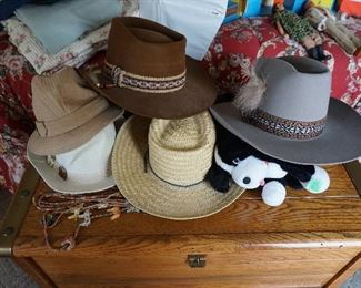 Stetson Hats