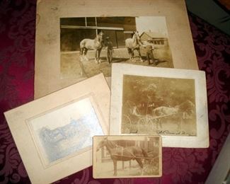 Antique Horse Photos