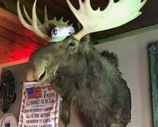 Moose Mount Excellent Condition