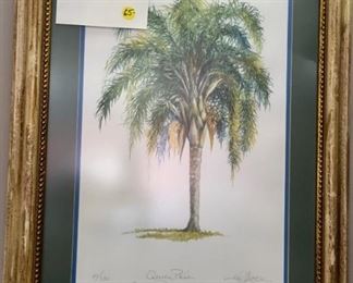 “Queen Palm Syagrus romanzoffiana” watercolor, signed and numbered (111/300)