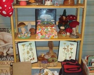 Screened Porch: More mushrooms: drawings; books; figures; lunch packs and then some!