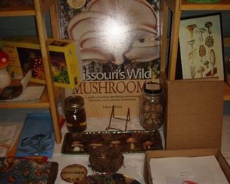 Screened Porch: A poster showing the cover of Maxine Stone's book about mushrooms is between the two risers along with mushrooms in a jar; there are also mushroom plates and other related items.