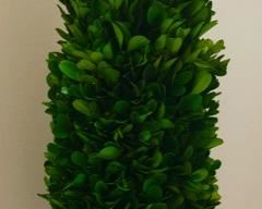 Cutie Patootie fake little tree in a neat pot. For that corner you're not quite sure what to do with!