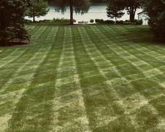 How's this for a view?