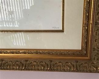 Pinot Daeni Edition Numbers