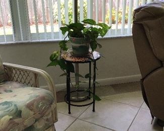 Plant Stand and Plant
