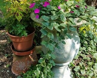 Potted plants