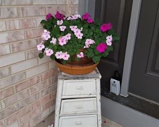 Potted plants