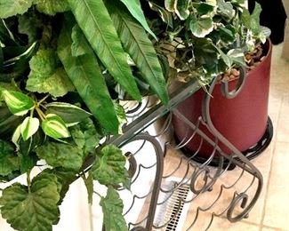 Plants and Plant Stands...