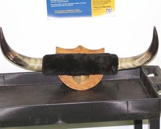 mounted steer horns