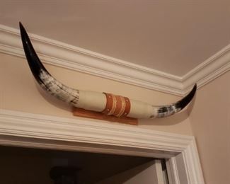 Authentic bull horns--how often do ya get a chance at these? Perfect for hanging on the wall or putting on the hood of your favorite vehicle
