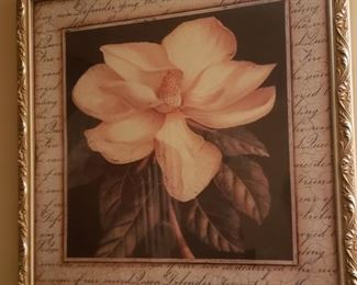 Here's a pretty picture to make you smile