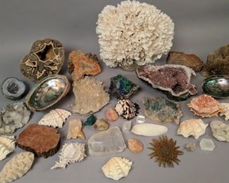 Fun selection of mineral specimens and shells