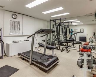 Exercise equipment including treadmill and Golds total gym 