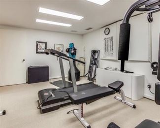 Exercise equipment including treadmill and Golds total gym 