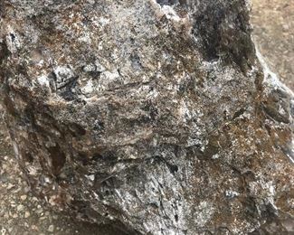 Agatized Petrified Stump