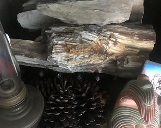 Petrified Wood Large Pine Cones