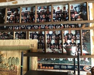 bears poster and ladders
