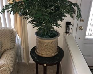 INDOOR PLANT 