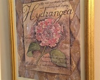 Hydrangea picture