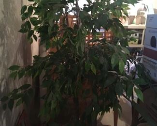 A sale would not be complete without a faux ficus!