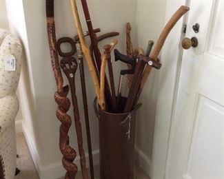 walking sticks and canes