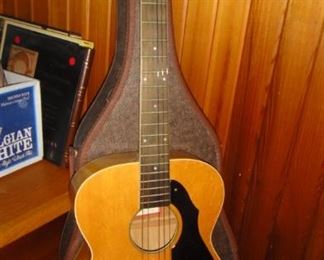 Folk Acoustic Guitar  