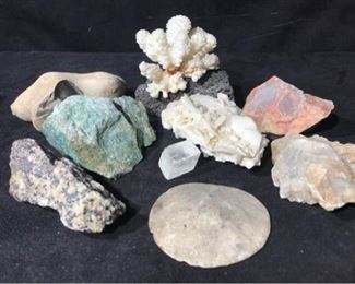 052 Rocks, Coral  Crystals