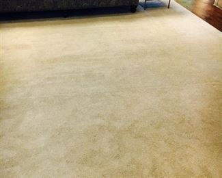 Designer rug, neutral, 12' x 12'