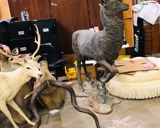  Bronze Animal statues, and taxidermy animals