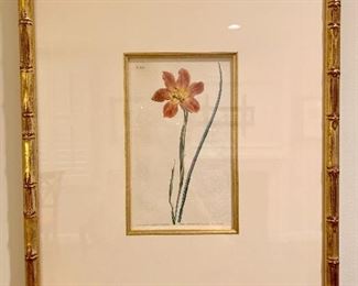 Framed botanicals