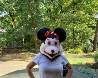 Minnie Mouse costume complete with dress