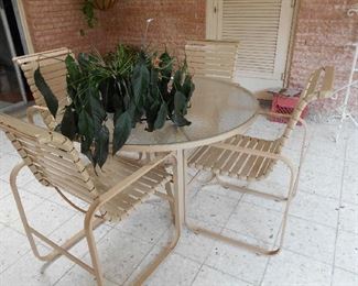 patio set, plant